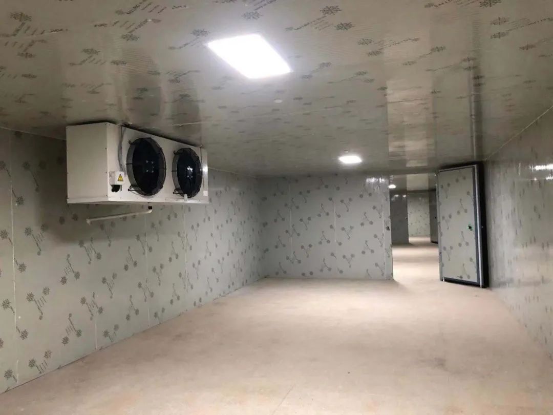 左云气调保鲜冷库造价